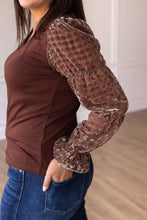 Load image into Gallery viewer, Brown Top With Burnout Velvet Sleeves: Brown / Large